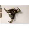 Image 3 : ANTIQUE CREE MADE BISON HORN WALL MOUNT RACK