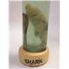Image 1 : SHARK FETUS IN GLASS JAR