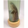 Image 2 : SHARK FETUS IN GLASS JAR