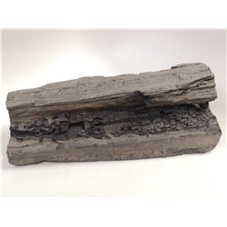 SECTION OF PETRIFIED WOOD ANCIENT