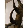 Image 8 : 1890 CREE MADE BISON HORN CHAIR ONION LAKE CREE