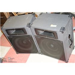 PAIR OF PROFESSIONAL BAND LIVE PERFORMANCE