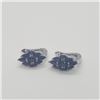 Image 1 : Silver Sapphire(4ct) Earrings (~weight 6g), Suggested Retail Value $300