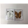 Image 1 : Lot of 2 Mounted cased Butterflys