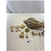 Image 2 : Nice Lot Of Sea Shells