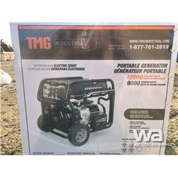(UNUSED) TMG 12000W GAS ENGINE GENERATOR