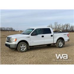 2013 FORD F150 XLT CREW CAB PICKUP