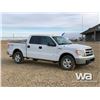 Image 2 : 2013 FORD F150 XLT CREW CAB PICKUP