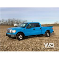 2011 FORD F150 CREW CAB PICKUP