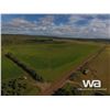 Image 7 : FARMLAND: SW 9-79-12-W6