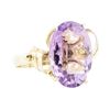 Image 1 : 10.00 ctw Amethyst Ring - 14KT Yellow Gold