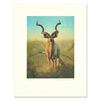 Image 1 : Pronghorns by Peter Darro (1917-1997)