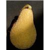 Image 3 : Tanya Tucker Decorative (2) Pears 8\"