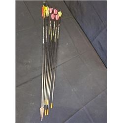 Tanya Tucker Archery carbon Arrows