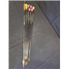 Image 1 : Tanya Tucker Archery carbon Arrows