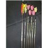 Image 2 : Tanya Tucker Archery carbon Arrows