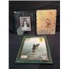 Image 1 : Tanya Tuckers picture and frames