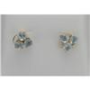 Image 1 : 14K Blue Zircon Earrings #1337794