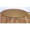 Image 1 : Modern Eames Era Oval Coffee Table with Chrome #1355313