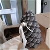 Image 2 : Lot of new aerosol paint and decorative pincones