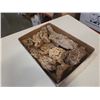 Image 1 : Lot of drift wood pieces