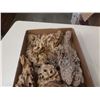 Image 2 : Lot of drift wood pieces