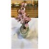 Image 8 : JADE TREE AND MINI JADE TREE