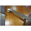 Image 3 : Johnson JG-100 W 1 Acoustic guitar