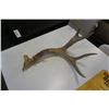 Image 2 : ANTLER AND MIRROR POND BREWERY SIGN
