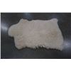 Image 2 : Sheepskin rug