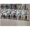 Image 4 : TRAY OF NEW BUG AND INSECT KEYCHAINS