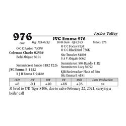 JVC Emma 976