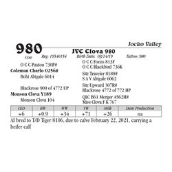 JVC Clova 980