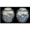 Image 1 : Chinese a pair of Blue And White Porcelain jars#1282957