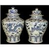 Image 1 : pairs Blue And White Porcelain hat-covered jars#1283024
