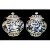 Image 1 : A pair of Blue And White Porcelain covered jars#1283025