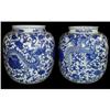 Image 1 : a pair of Blue And White Porcelain jars #1283039