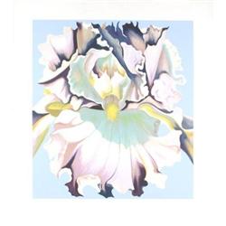 Signed and Numbered Nesbit   Pastel Orchid #1301974