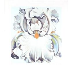 Signed and Numbered Nesbit   White Orchid #1301975