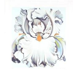 Signed and Numbered Nesbit   White Orchid #1301975