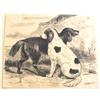 Image 1 : Dogs-Pen & Ink #1302549