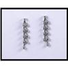 Image 1 : 14K White Gold Diamond Dangling Earrings #1338963