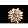 Image 1 : 1940's 14K Flower Pin/Brooch-LOWERED RES! #1339236