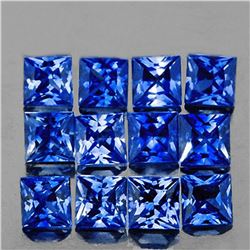 Natural Princess Blue Sapphire 12 Pcs[VVS]