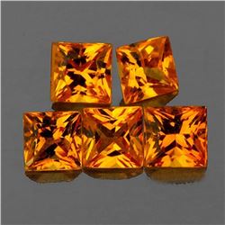 Natural Golden Yellow Sapphire 5 Pcs[Flawless-VVS]