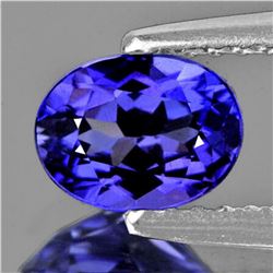 Natural AAA Purple Blue Tanzanite 1.06 Ct - FL