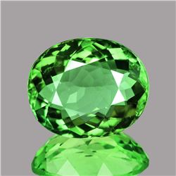 Natural  AAA Green Tsavorite Garnet {VVS}