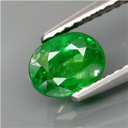 Natural Green Tsavorite Garnet Tanzania 1.01 Ct