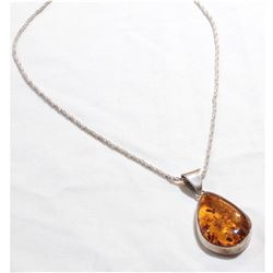 Large Sterling Silver Amber Pendant on 17" Sterling Rope Chain.