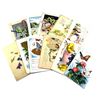 Image 1 : 1910-1940 Easter Greetings Postcard Collection. All but 2 postcards contain personal greetings, incl